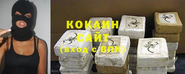 a pvp Горняк