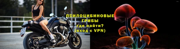a pvp Горняк