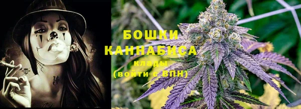 альфа пвп Горнозаводск