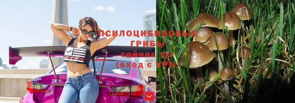 альфа пвп Горнозаводск